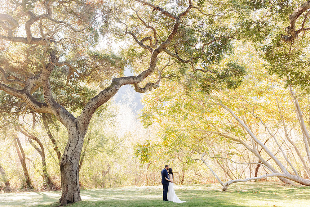 Sarah + Kevin | Carmel Valley, Ca