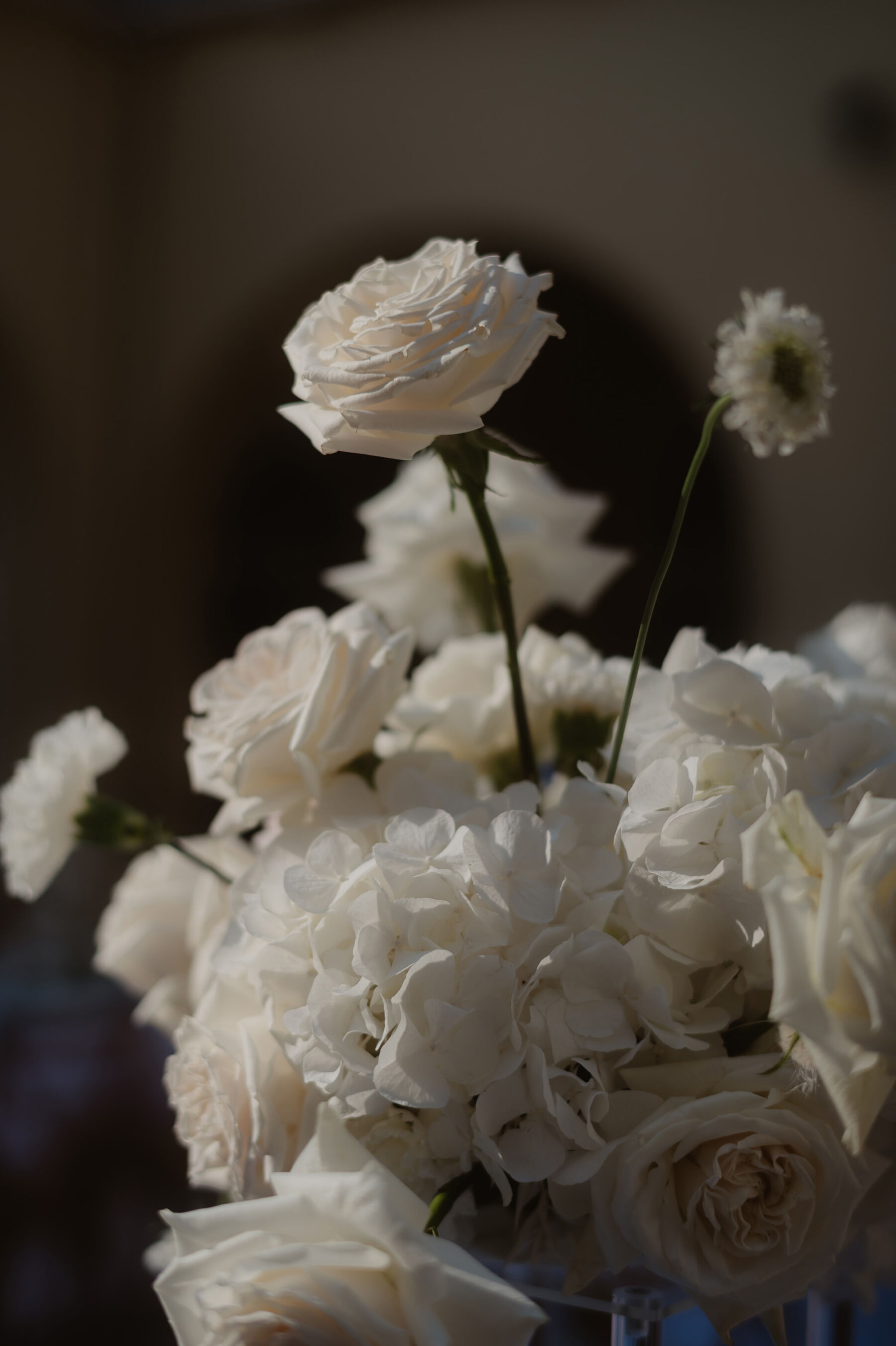 Sarah in Eva Lendel for her Classy & Contemporary Wedding in Croatia 21 White roses