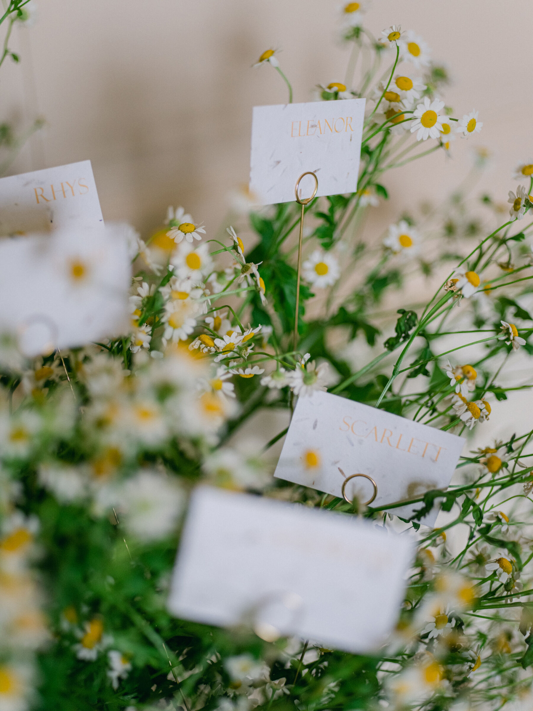 Celebrating Seasonal, British Grown Wedding Flowers With Flower & Fern at Findon Place 16 Chamomile daisies holding wedding place cards.
