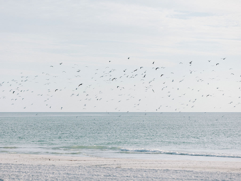 Sarasota Chic Wedding